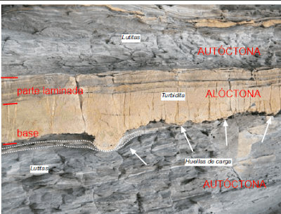 Un paseo de 57 millones de años: el flysch entre Deba y Zumaia (parte 2)