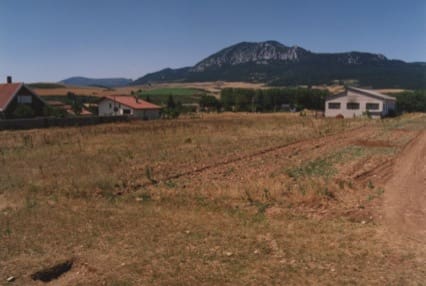 Vista general del yacimiento arqueológico de Las Ermitas con el monte al fondo, en el término de Espejo (Álava).